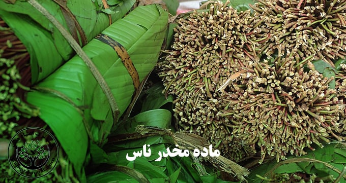 ماده مخدر ناس